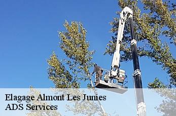 Elagage  almont-les-junies-12300 ADS Services