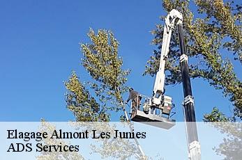 Elagage almont-les-junies-12300 Elagage Beaumann