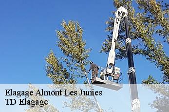 Elagage  almont-les-junies-12300 TD Elagage