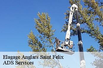 Elagage anglars-saint-felix-12390
