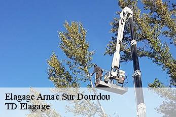 Elagage  arnac-sur-dourdou-12360 TD Elagage