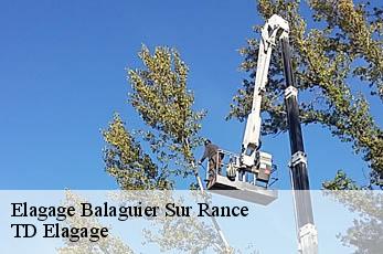 Elagage  balaguier-sur-rance-12380 TD Elagage