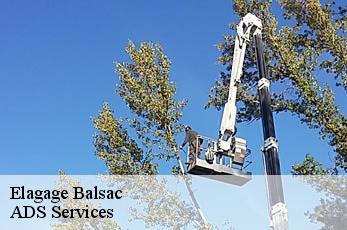 Elagage  balsac-12510 ADS Services