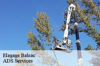 Elagage balsac-12510 Elagage Beaumann