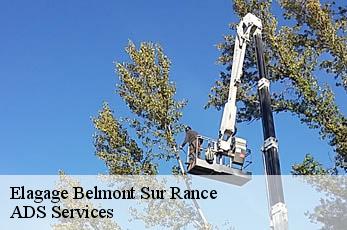 Elagage  belmont-sur-rance-12370 ADS Services