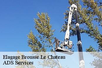 Elagage  brousse-le-chateau-12480 ADS Services