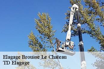 Elagage  brousse-le-chateau-12480 TD Elagage