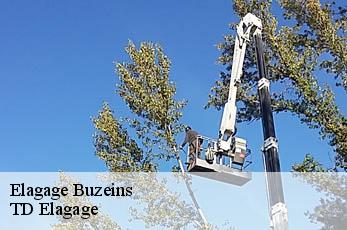 Elagage  buzeins-12150 TD Elagage