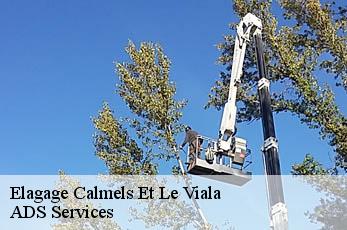 Elagage  calmels-et-le-viala-12400 ADS Services