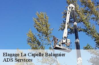 Elagage  la-capelle-balaguier-12260 ADS Services