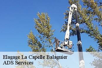 Elagage la-capelle-balaguier-12260 ADS Services