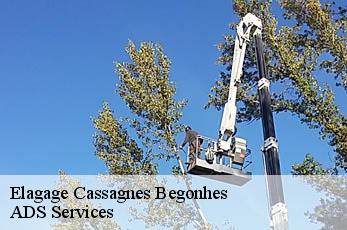 Elagage  cassagnes-begonhes-12120 ADS Services