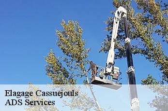Elagage  cassuejouls-12210 ADS Services