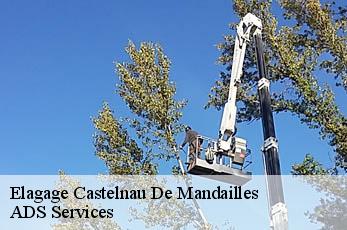Elagage  castelnau-de-mandailles-12500 ADS Services