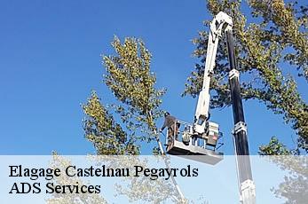 Elagage castelnau-pegayrols-12620 ADS Services