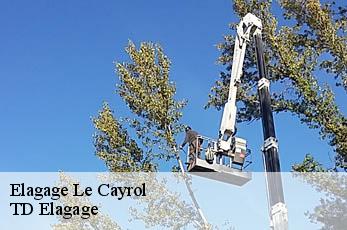 Elagage  le-cayrol-12500 TD Elagage