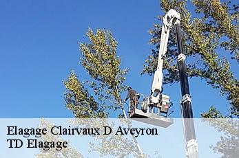 Elagage  clairvaux-d-aveyron-12330 TD Elagage