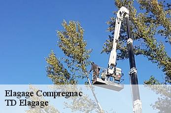 Elagage  compregnac-12100 TD Elagage