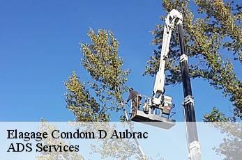 Elagage  condom-d-aubrac-12470 ADS Services