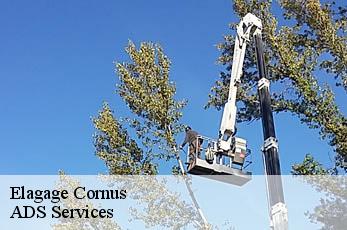 Elagage cornus-12540 ADS Services