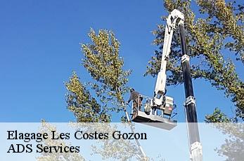Elagage  les-costes-gozon-12400 ADS Services