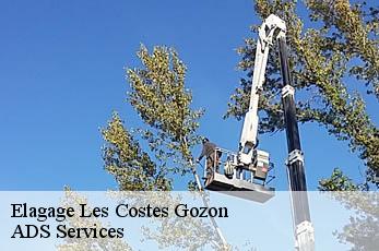 Elagage les-costes-gozon-12400 Elagage Beaumann