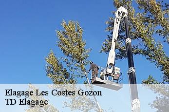 Elagage  les-costes-gozon-12400 TD Elagage