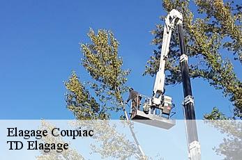 Elagage  coupiac-12550 TD Elagage
