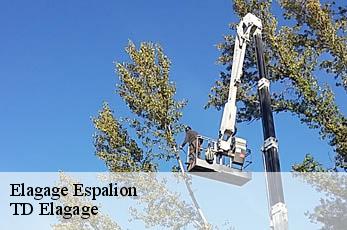 Elagage  espalion-12500 TD Elagage