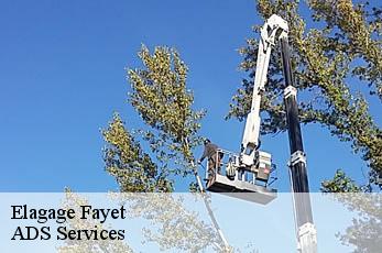Elagage  fayet-12360 ADS Services