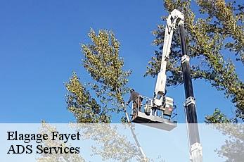 Elagage fayet-12360 ADS Services