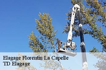 Elagage  florentin-la-capelle-12140 TD Elagage