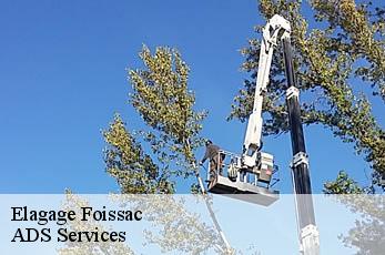 Elagage foissac-12260