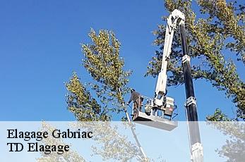 Elagage  gabriac-12340 TD Elagage