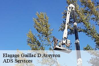 Elagage gaillac-d-aveyron-12310 ADS Services