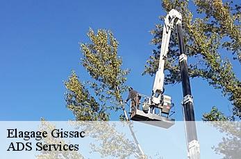 Elagage  gissac-12360 ADS Services