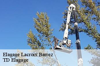 Elagage  lacroix-barrez-12600 TD Elagage