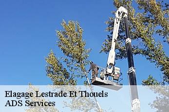 Elagage lestrade-et-thouels-12430 ADS Services