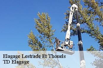 Elagage  lestrade-et-thouels-12430 TD Elagage