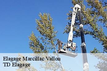 Elagage  marcillac-vallon-12330 TD Elagage