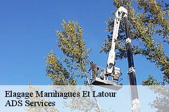 Elagage  marnhagues-et-latour-12540 ADS Services