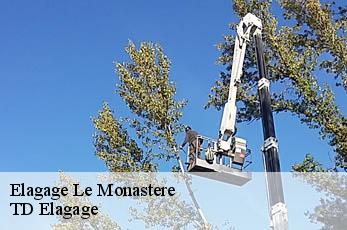 Elagage  le-monastere-12000 TD Elagage