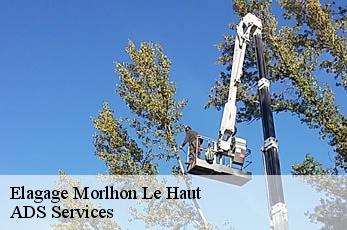 Elagage  morlhon-le-haut-12200 ADS Services