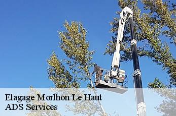 Elagage morlhon-le-haut-12200 Elagage Beaumann