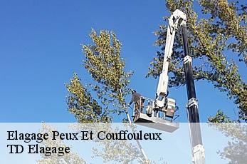 Elagage  peux-et-couffouleux-12360 TD Elagage