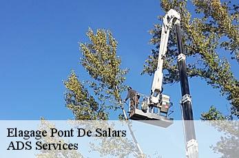 Elagage pont-de-salars-12290 ADS Services