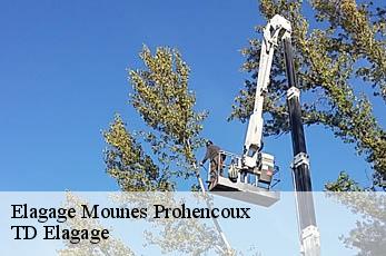 Elagage  mounes-prohencoux-12370 TD Elagage
