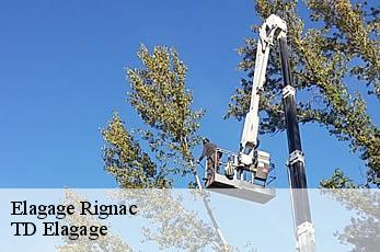 Elagage  rignac-12390 TD Elagage