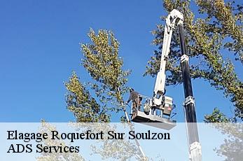 Elagage roquefort-sur-soulzon-12250 ADS Services