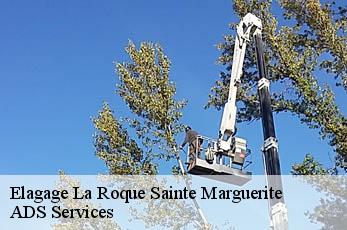 Elagage la-roque-sainte-marguerite-12100 ADS Services